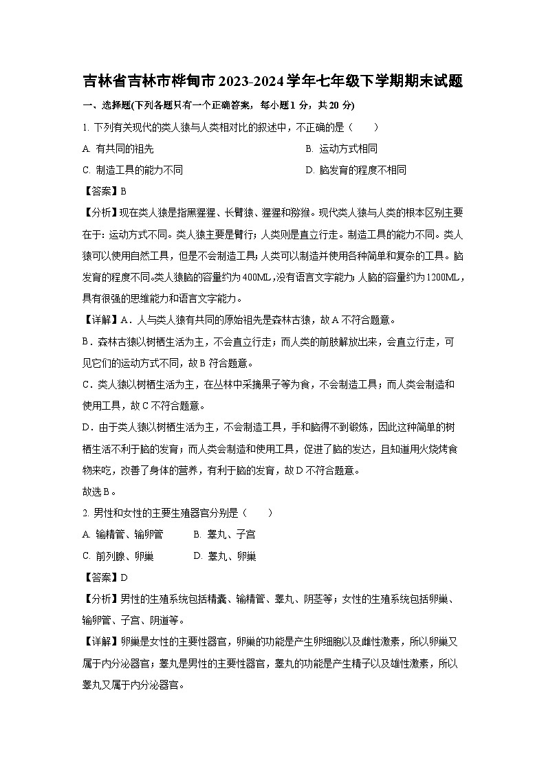吉林省吉林市桦甸市2023-2024学年七年级下学期期末生物试卷（解析版）第1页