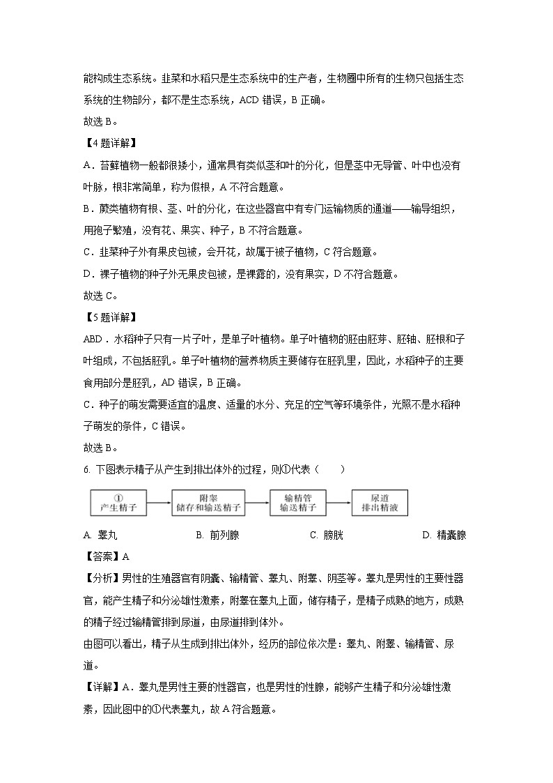 2025年福建省初中毕业班百校联考中考模拟预测生物试卷（解析版）第3页