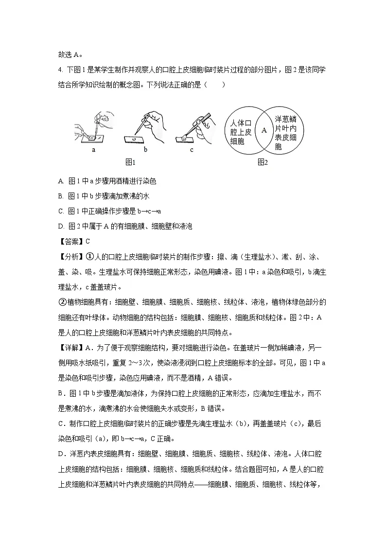 2025年贵州省遵义市播州区中考二模生物试卷（解析版）第3页