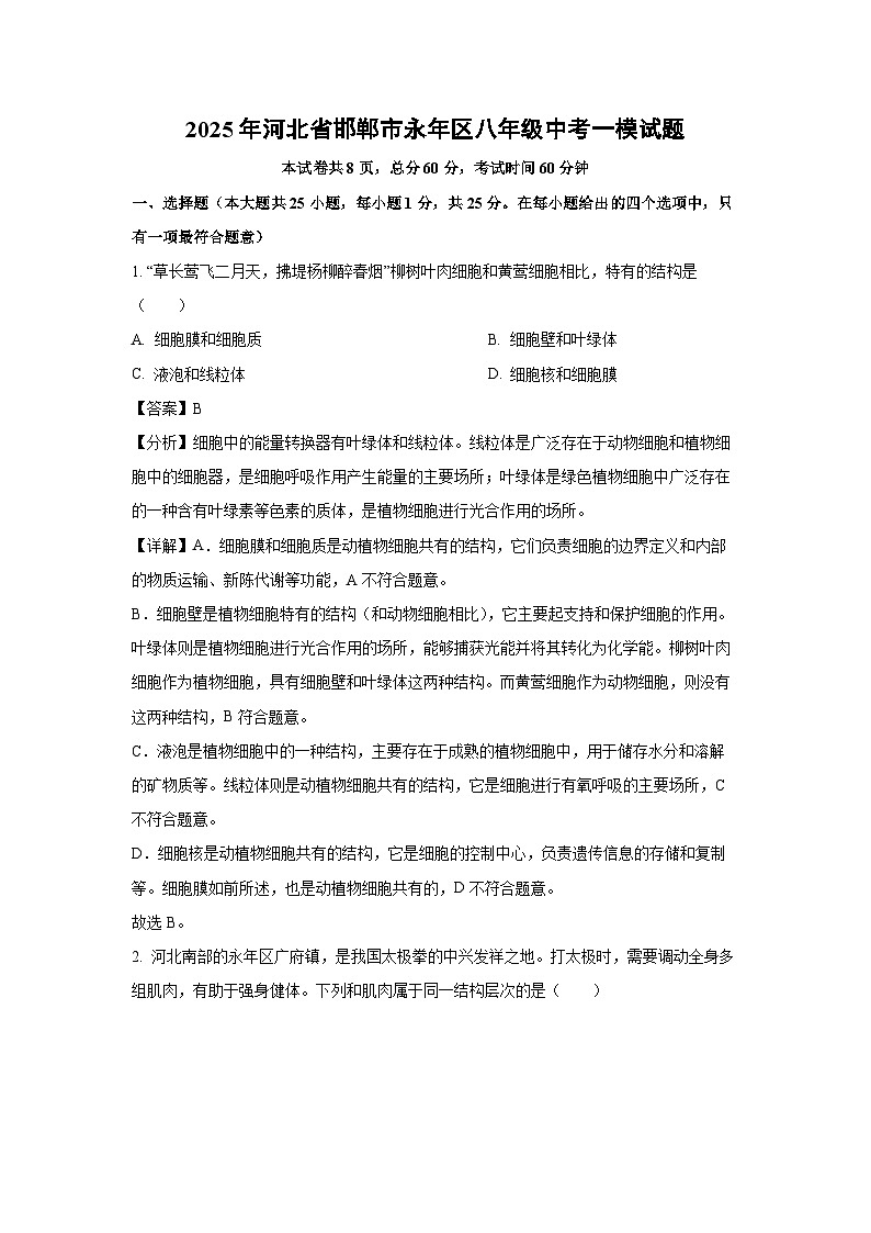 2025年河北省邯郸市永年区八年级中考一模[中考模拟]生物试卷（解析版）第1页
