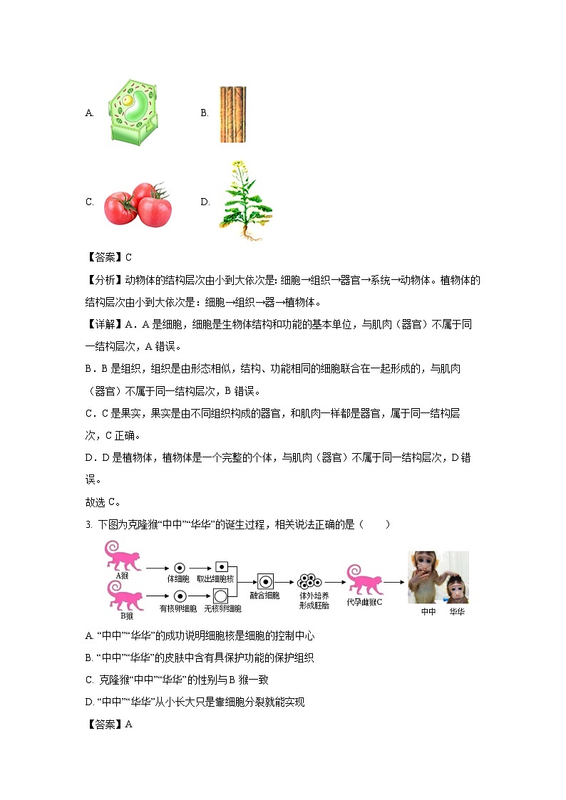 2025年河北省邯郸市永年区八年级中考一模[中考模拟]生物试卷（解析版）第2页