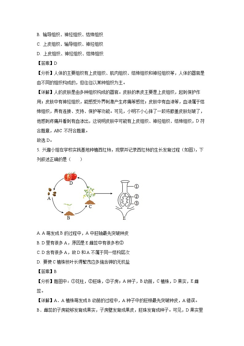 2025年湖南省十三市州中考二模生物试卷（解析版）第3页