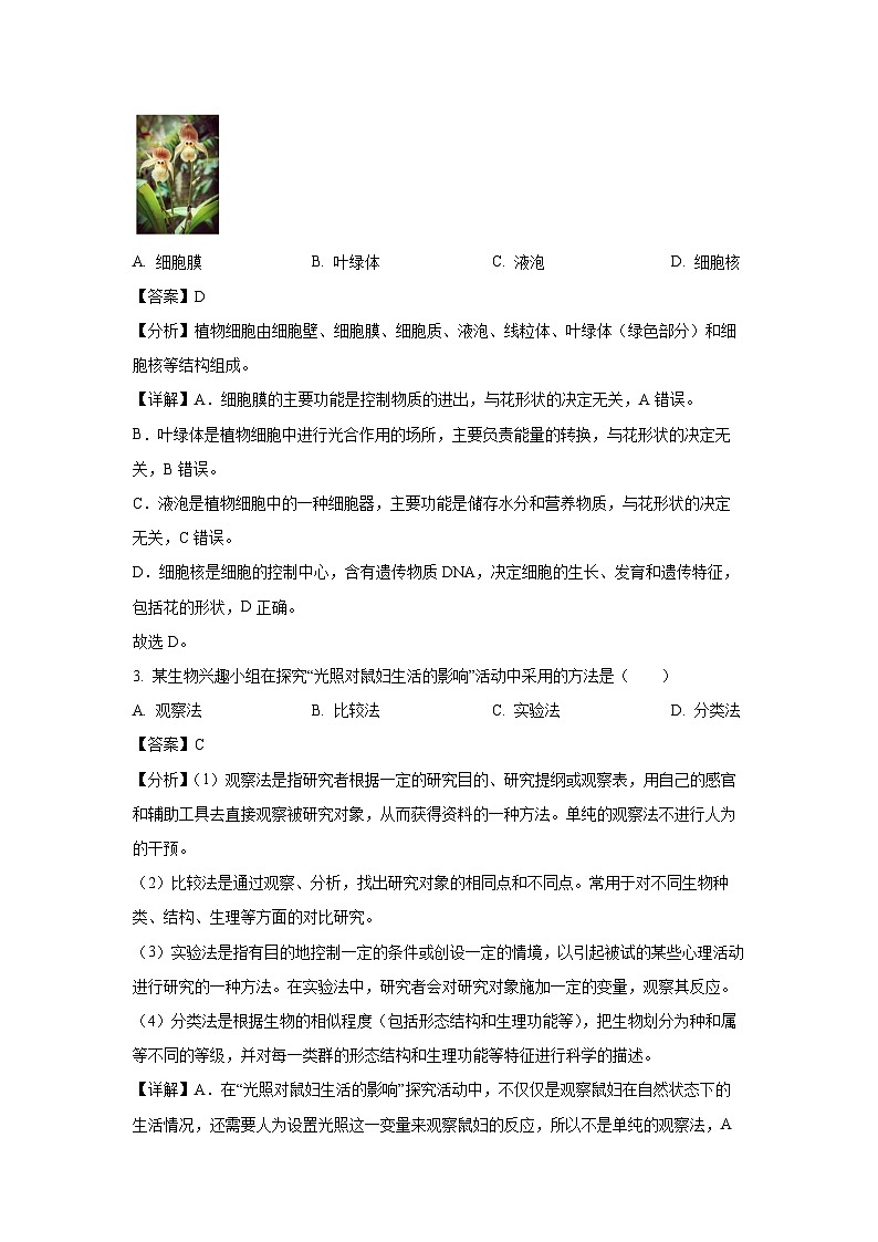 2025年广东省湛江市中考一模[中考模拟]生物试卷（解析版）第2页