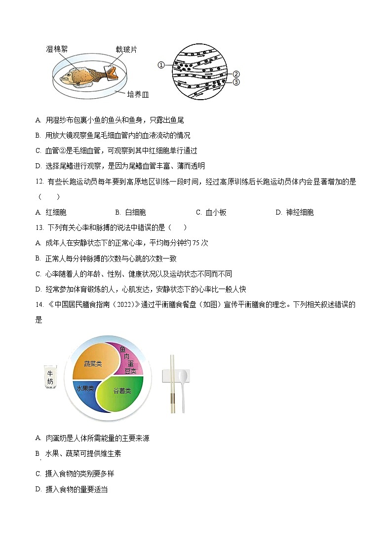 贵州省2024-2025学年七年级下学期3月月考生物试题（原卷版+解析版）第3页