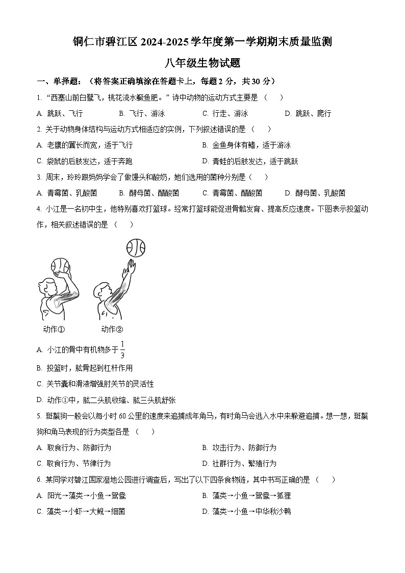 贵州省铜仁市碧江区2024-2025学年八年级上学期期末生物试题（原卷版+解析版）第1页