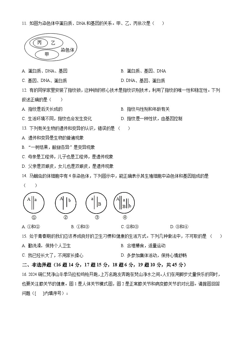 贵州省铜仁市碧江区2024-2025学年八年级上学期期末生物试题（原卷版+解析版）第3页