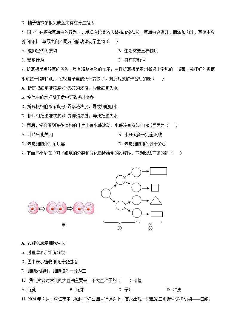 贵州省铜仁市碧江区2024—2025学年七年级上学期期末生物试题（原卷版+解析版）第2页