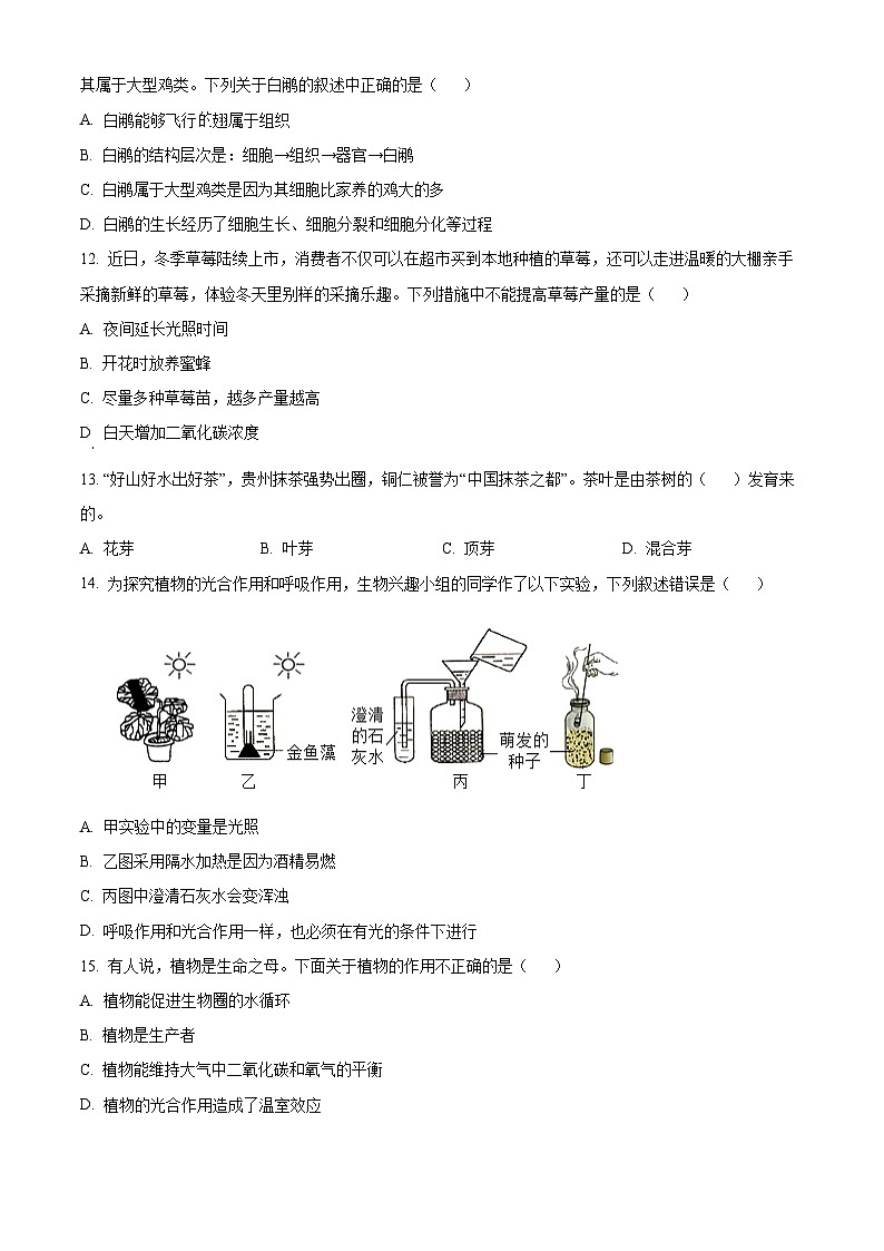 贵州省铜仁市碧江区2024—2025学年七年级上学期期末生物试题（原卷版+解析版）第3页