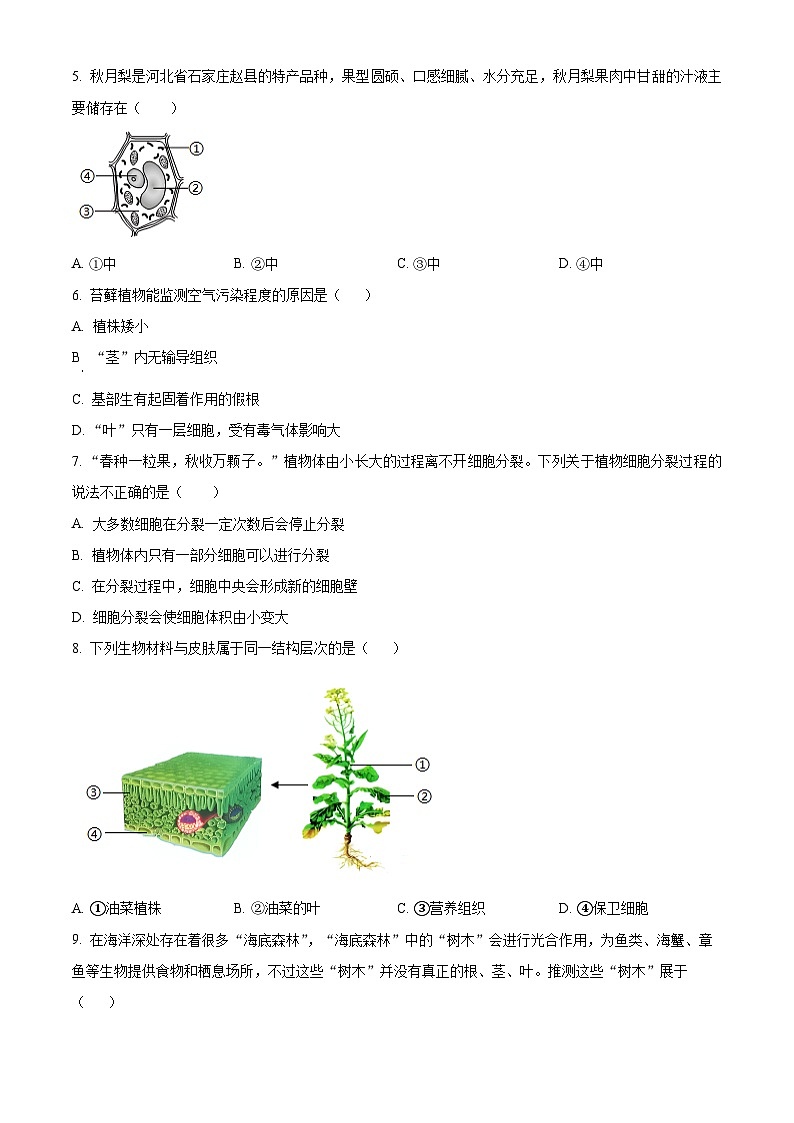 河北省张家口市张北县2024-2025学年七年级上学期期末生物试题（原卷版+解析版）第2页
