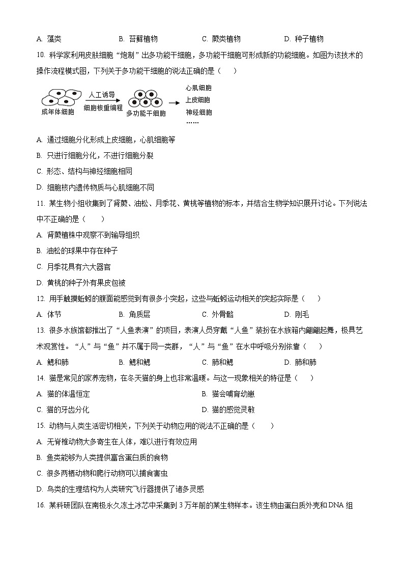 河北省张家口市张北县2024-2025学年七年级上学期期末生物试题（原卷版+解析版）第3页