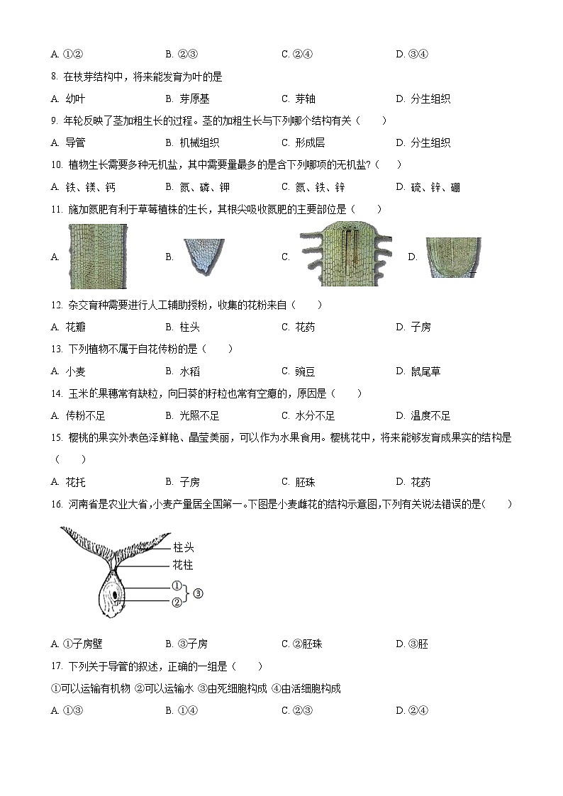 河南省南阳市多校联考2024-2025学年七年级下学期3月月考生物试题（原卷版+解析版）第2页