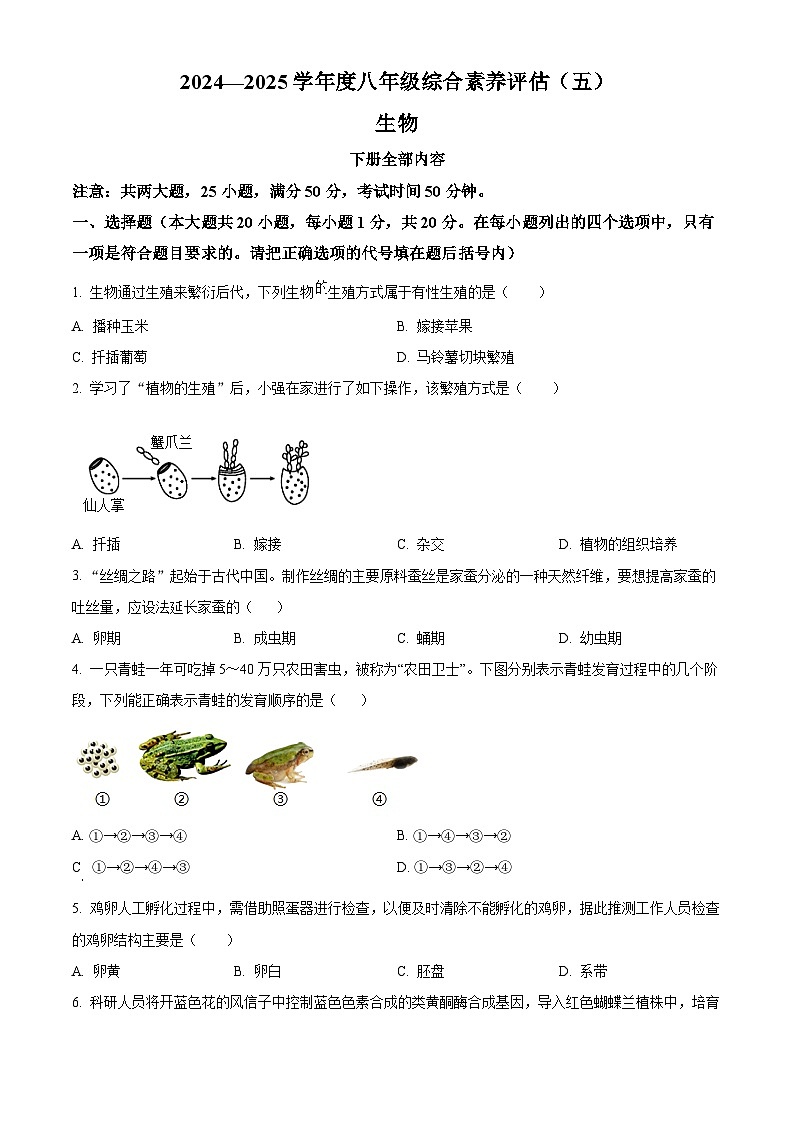 河南省周口市2024--2025学年八年级下学期3月月考生物试题（原卷版+解析版）第1页