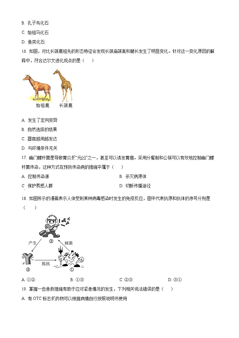 河南省周口市2024--2025学年八年级下学期3月月考生物试题（原卷版+解析版）第3页