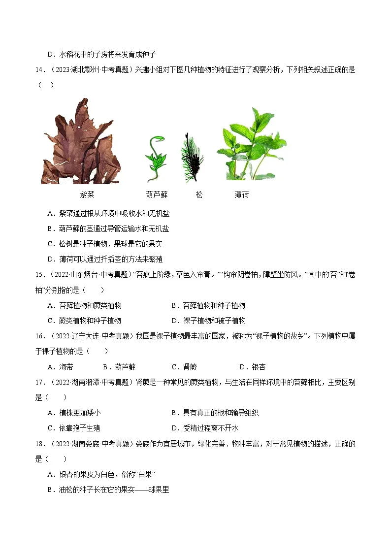 备考2025年中考生物三年真题分类汇编（全国通用）专题04生物圈中的绿色植物（原卷版）第3页