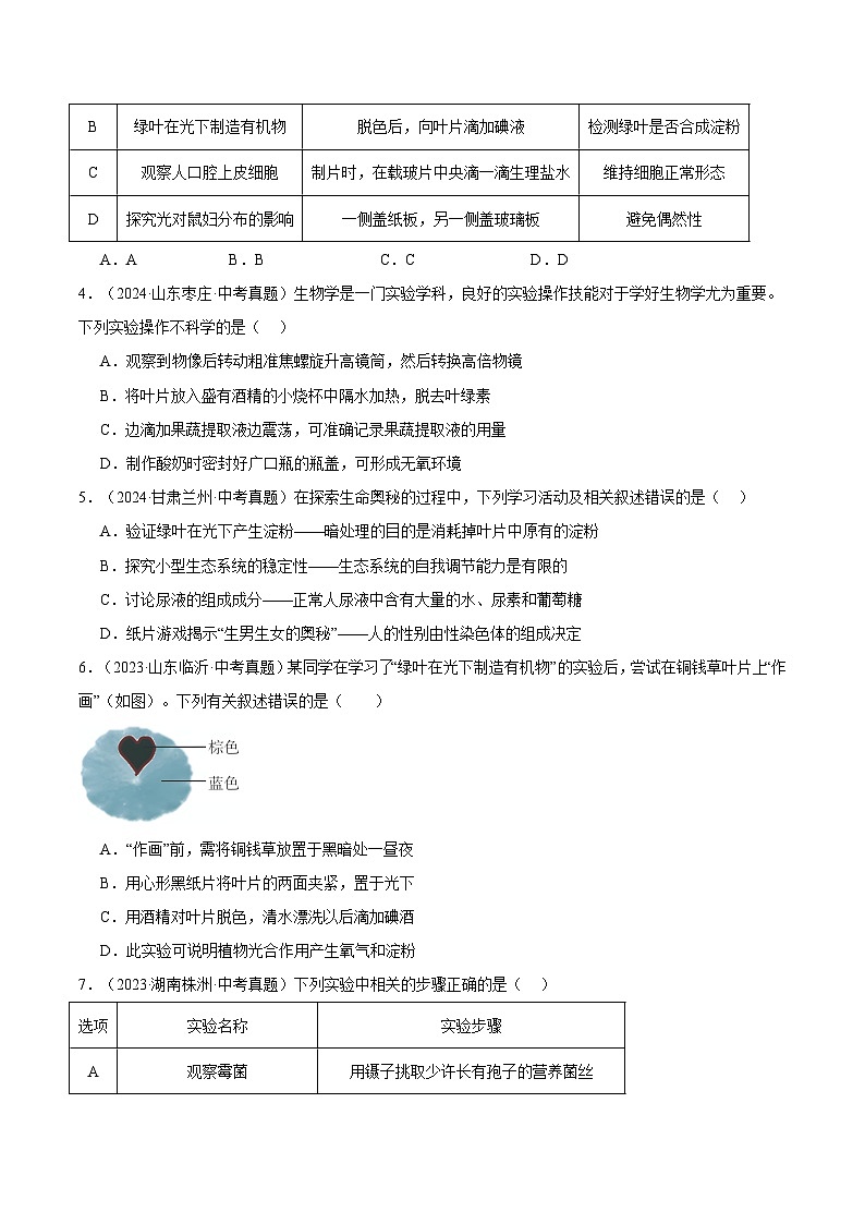 备考2025年中考生物三年真题分类汇编（全国通用）专题05绿色植物的三大作用（原卷版）第2页
