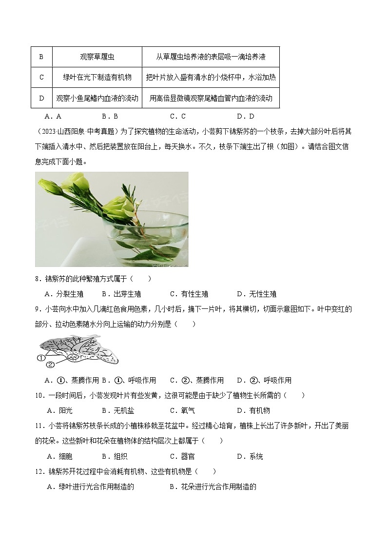 备考2025年中考生物三年真题分类汇编（全国通用）专题05绿色植物的三大作用（原卷版）第3页