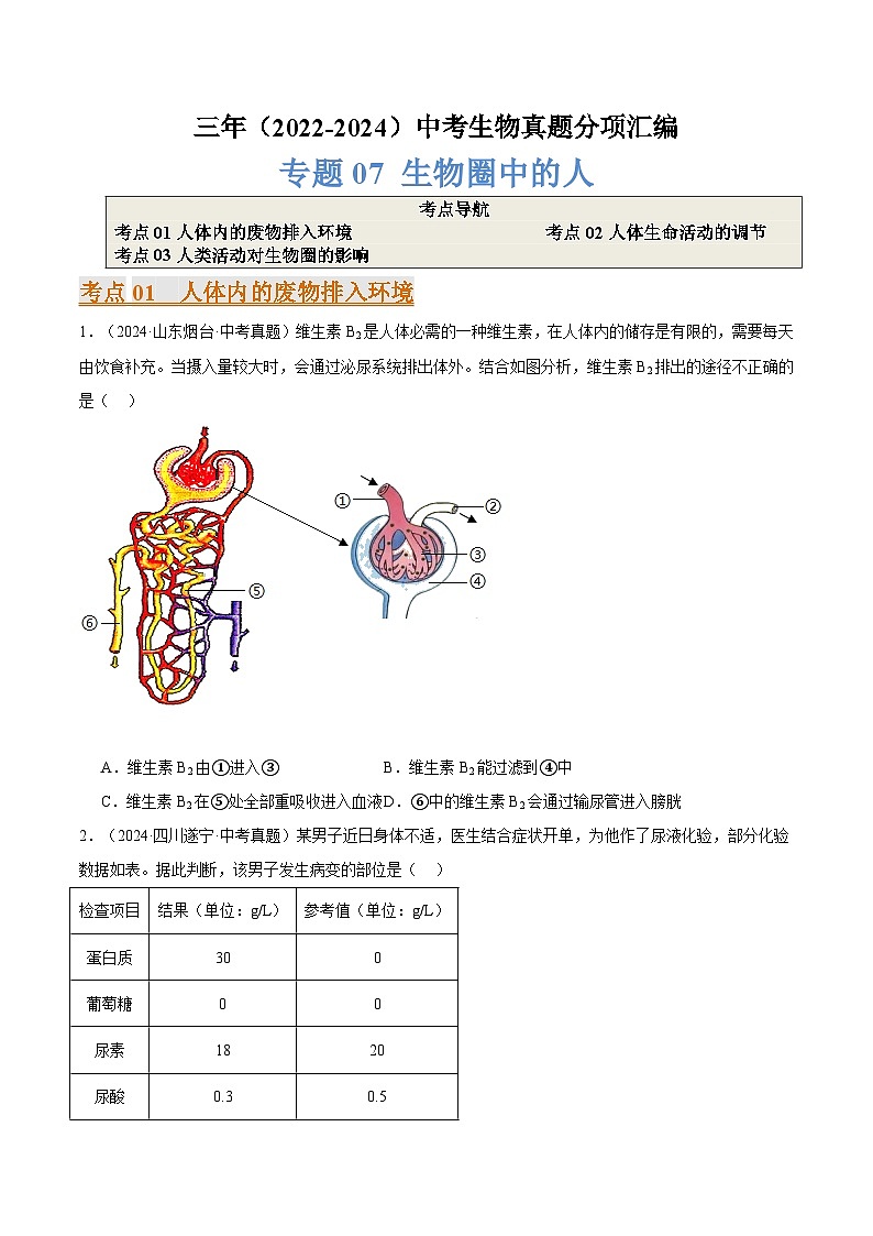 备考2025年中考生物三年真题分类汇编（全国通用）专题07生物圈中的人（原卷版）第1页