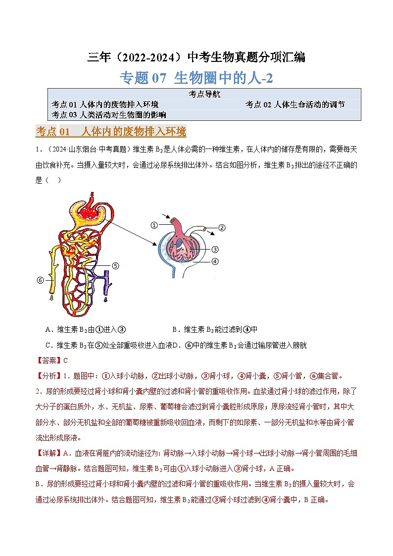 备考2025年中考生物三年真题分类汇编（全国通用）专题07生物圈中的人（解析版）第1页