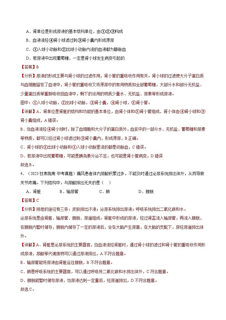备考2025年中考生物三年真题分类汇编（全国通用）专题07生物圈中的人（解析版）第3页