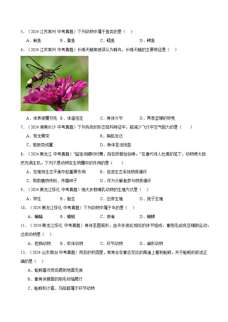 备考2025年中考生物三年真题分类汇编（全国通用）专题08生物圈中的其他生物（原卷版）第2页