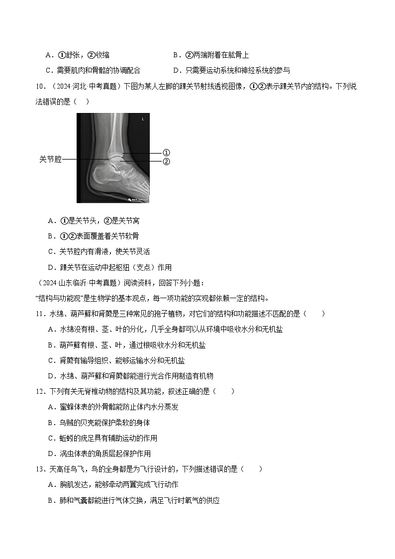 备考2025年中考生物三年真题分类汇编（全国通用）专题09动物的运动和行为（原卷版）第3页