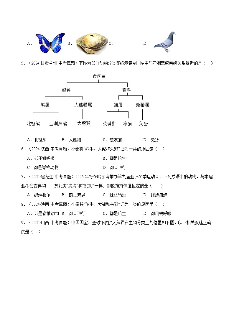 备考2025年中考生物三年真题分类汇编（全国通用）专题10生物的多样性的认识及其保护（原卷版）第2页