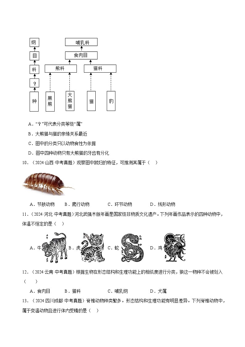 备考2025年中考生物三年真题分类汇编（全国通用）专题10生物的多样性的认识及其保护（原卷版）第3页
