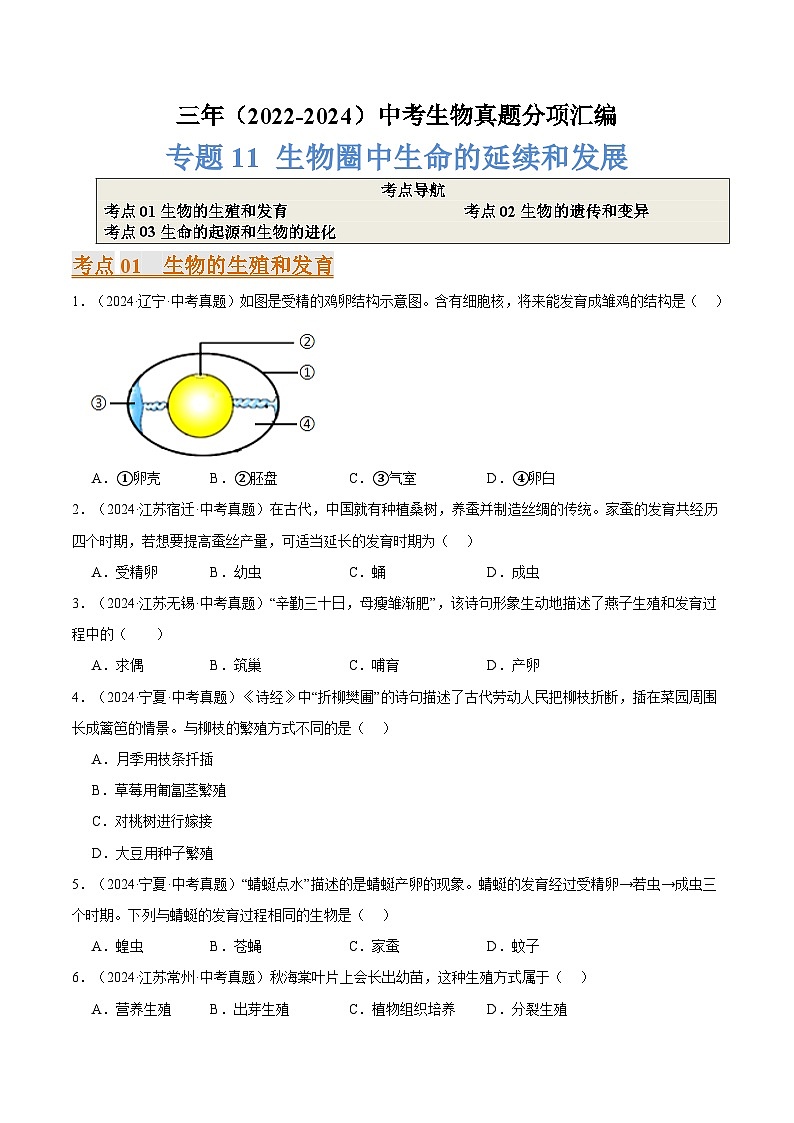 备考2025年中考生物三年真题分类汇编（全国通用）专题11生物圈中生命的延续和发展（原卷版）第1页