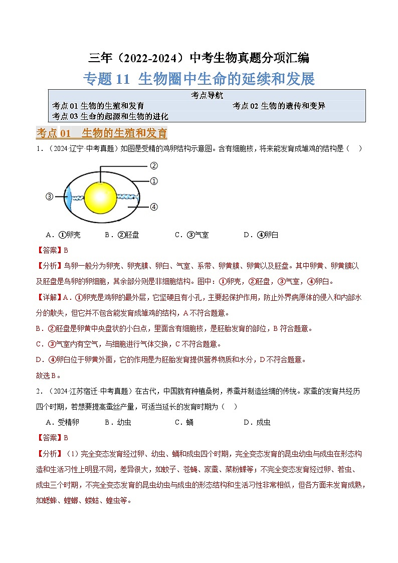 备考2025年中考生物三年真题分类汇编（全国通用）专题11生物圈中生命的延续和发展（解析版）第1页