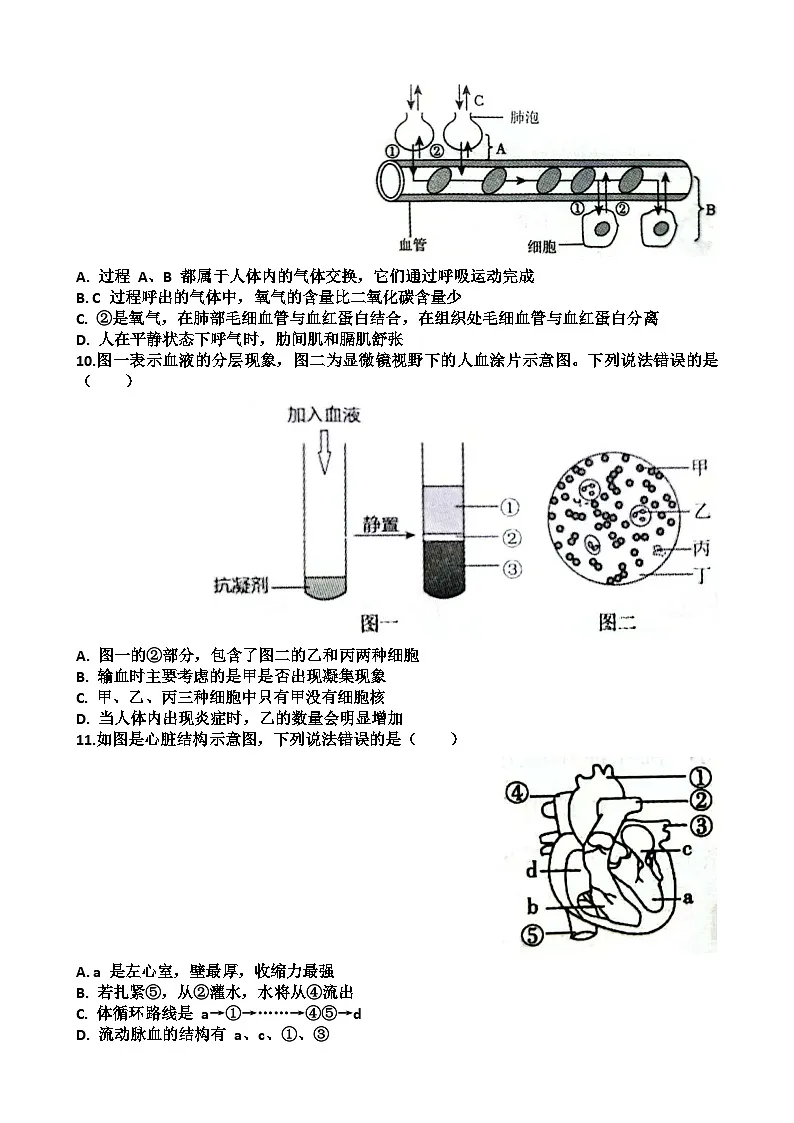 2025年济南天桥区八年级生物会考二模考试试题（含答案）第3页