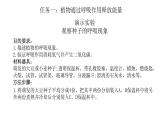 2024-2025學年濟南版生物七年級下冊 3.1.4 植物通過呼吸作用為生命活動提供能量課件