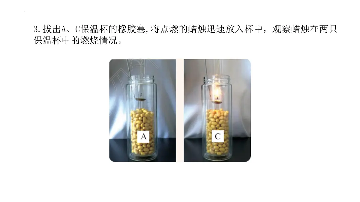 2024-2025学年济南版生物七年级下册 3.1.4 植物通过呼吸作用为生命活动提供能量课件第7页