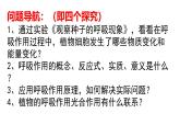 2024-2025學年濟南版生物七年級下冊 3.1.4植物通過呼吸作用為生命活動提供能量課件