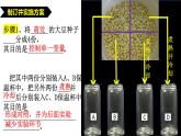 2024-2025學年濟南版生物七年級下冊 3.1.4植物通過呼吸作用為生命活動提供能量課件