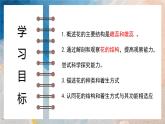 2024-2025學(xué)年濟(jì)南版生物七年級下冊 3.2.1 花是被子植物特有的生殖器官  課件 (2)