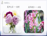 2024-2025學(xué)年濟(jì)南版生物七年級下冊 3.2.1 花是被子植物特有的生殖器官  課件