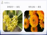 2024-2025學(xué)年濟(jì)南版生物七年級下冊 3.2.1 花是被子植物特有的生殖器官  課件
