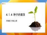 2024-2025學(xué)年濟(jì)南版生物七年級下冊 3.2.3  種子萌發(fā)需要適宜的條件  課件 (2)