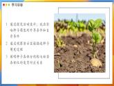 2024-2025學(xué)年濟(jì)南版生物七年級下冊 3.2.3  種子萌發(fā)需要適宜的條件  課件 (2)