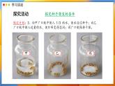 2024-2025學(xué)年濟(jì)南版生物七年級下冊 3.2.3  種子萌發(fā)需要適宜的條件  課件 (2)