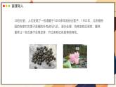 2024-2025學(xué)年濟(jì)南版生物七年級下冊 3.2.3  種子萌發(fā)需要適宜的條件  課件 (3)