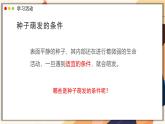 2024-2025學(xué)年濟(jì)南版生物七年級下冊 3.2.3  種子萌發(fā)需要適宜的條件  課件 (3)