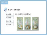 2024-2025學(xué)年濟(jì)南版生物七年級下冊 3.2.3  種子萌發(fā)需要適宜的條件  課件