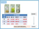 2024-2025學(xué)年濟(jì)南版生物七年級下冊 3.2.3  種子萌發(fā)需要適宜的條件  課件