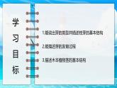 2024-2025學年濟南版生物七年級下冊 3.2.4 芽是未發(fā)育的枝條或花  課件 (2)