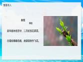 2024-2025學年濟南版生物七年級下冊 3.2.4 芽是未發(fā)育的枝條或花  課件 (2)