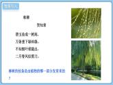 2024-2025學年濟南版生物七年級下冊 3.2.4 芽是未發(fā)育的枝條或花  課件