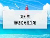 2024-2025學(xué)年濟(jì)南版生物七年級下冊 4.1.1  無性生殖保持了生物遺傳特征的穩(wěn)定  課件