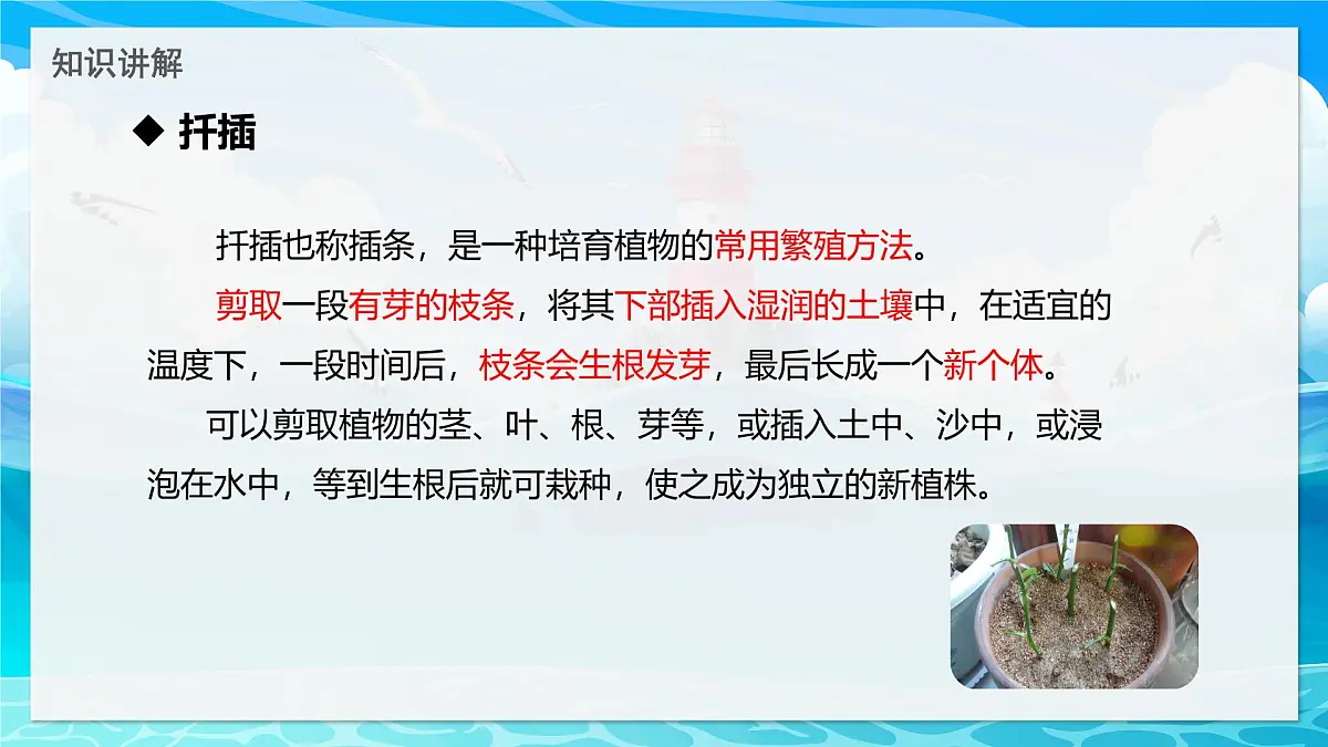 2024-2025学年济南版生物七年级下册 4.1.1 无性生殖保持了生物遗传特征的稳定 课件第8页