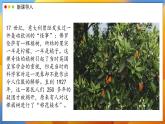 2024-2025學(xué)年濟(jì)南版生物七年級下冊 4.1.1  無性生殖保持了生物遺傳特征的穩(wěn)定 課件